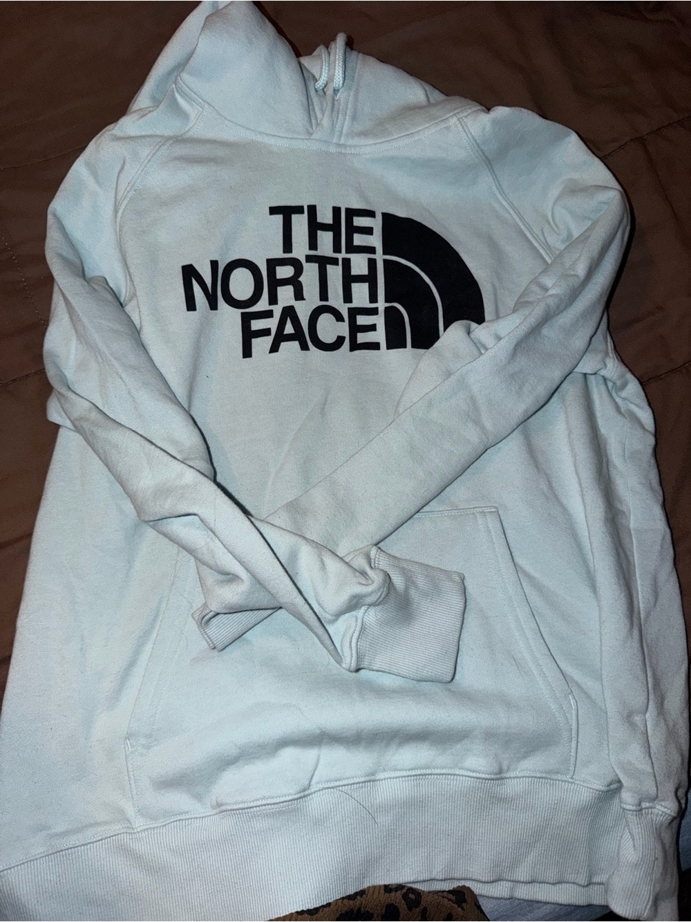 The North Face Men’s White Pullover Hoodie with Black Logo